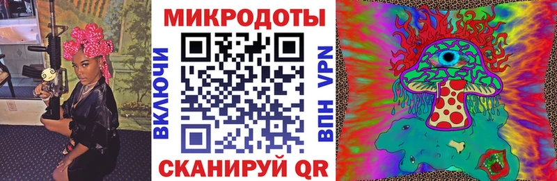 Псилоцибиновые грибы Cubensis  Карабулак 
